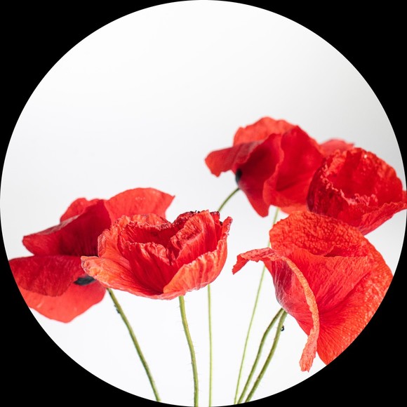 thepoppyshop_